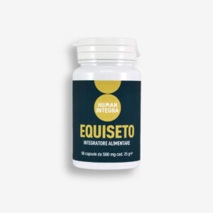 EQUISETO